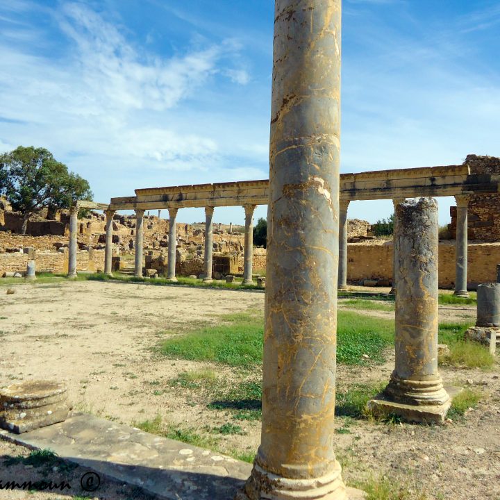 Les lieux de sociabilité et des spectacles scéniques romains en Tunisie