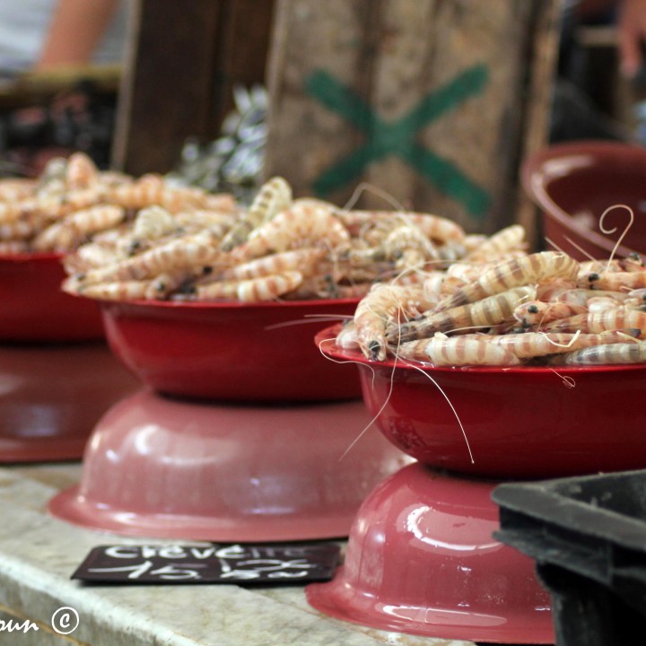 Marché de poisson de Sfax سوق الحوت بصفاقس