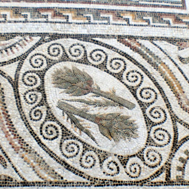 L’artichaut dans la mosaïque africaine de l'époque romaine en Tunisie