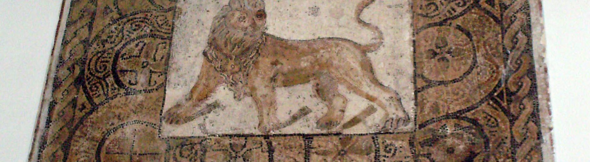 Les mosaïques du site archéologique de Thyna (Sfax)