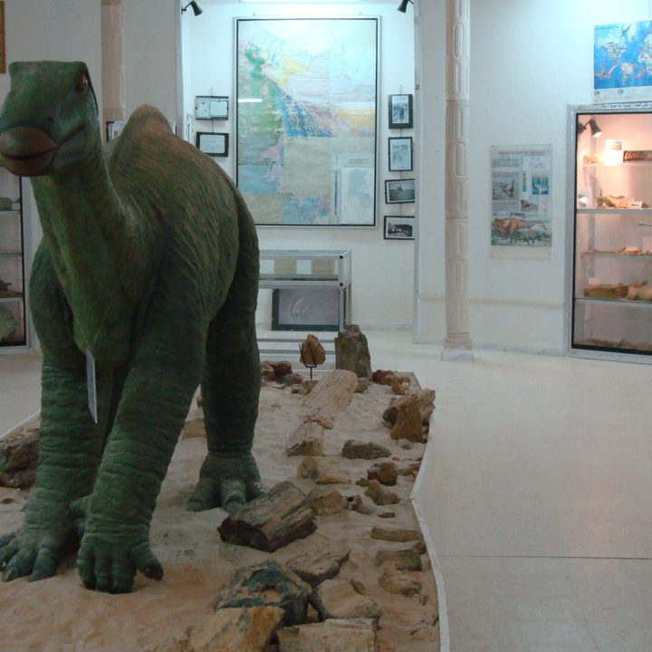 Les vertébrés  fossiles du Sud tunisien