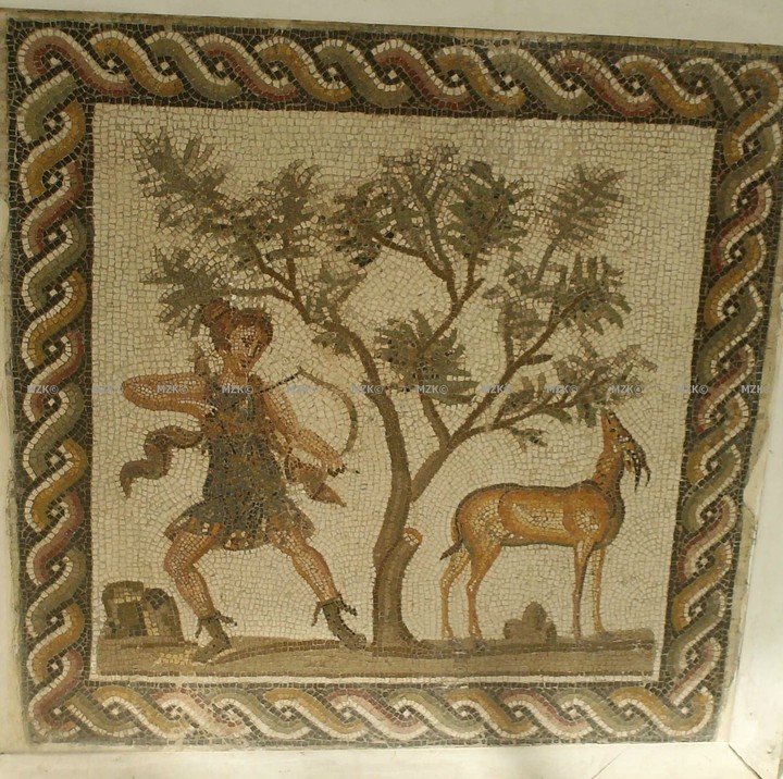 Les animaux dans les mosaïques romaines en Tunisie