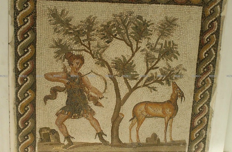 Les animaux dans les mosaïques romaines en Tunisie