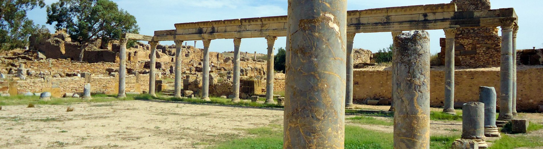 Les lieux de sociabilité et des spectacles scéniques romains en Tunisie