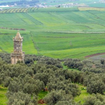 Le site archéologique de Dougga الموقع الأثري بدقة