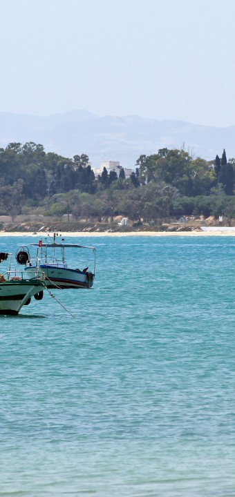 Hammamet الحمامات