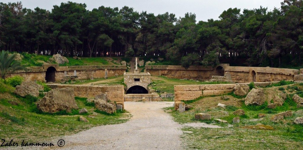 Amphithéâtre de Carthage 