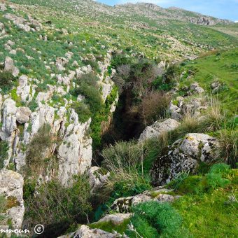 Béja باجة