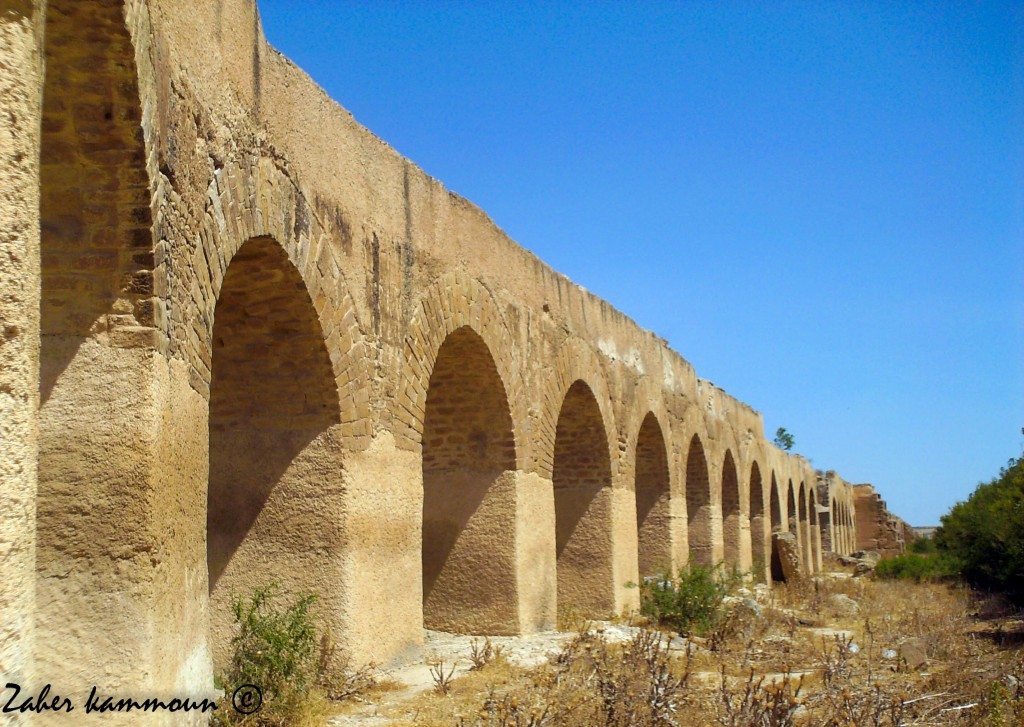 Aqueduc Tunisie 