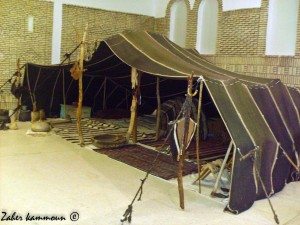 Musée Douz متحف دوز