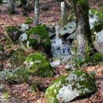 Le parc national El Feija الحديقة الوطنية بالفايجة