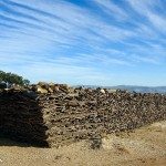 Le parc national El Feija الحديقة الوطنية بالفايجة