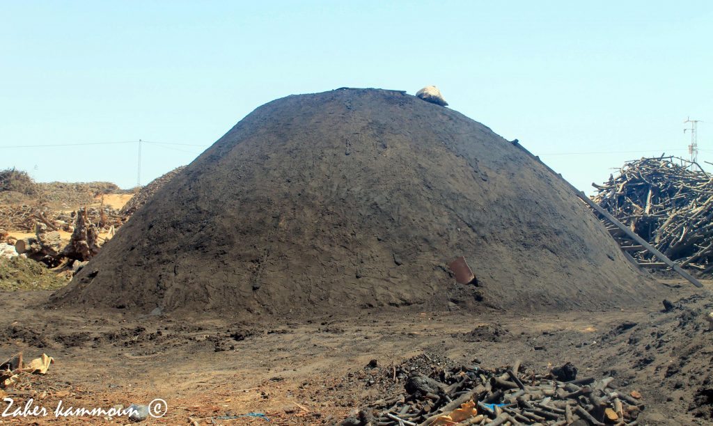المردومة charbon Sfax