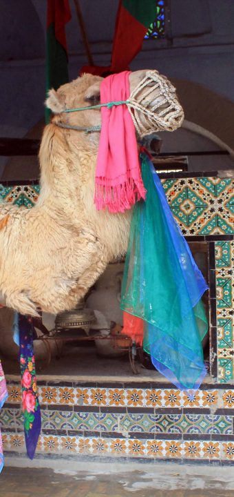 Bir Barrouta بير بروطة