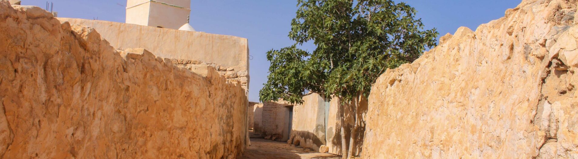 Taoujout تاوجوت