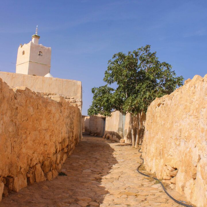 Taoujout تاوجوت