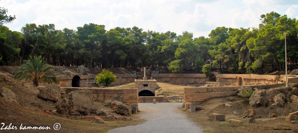 Amphithéatre de Carthage 