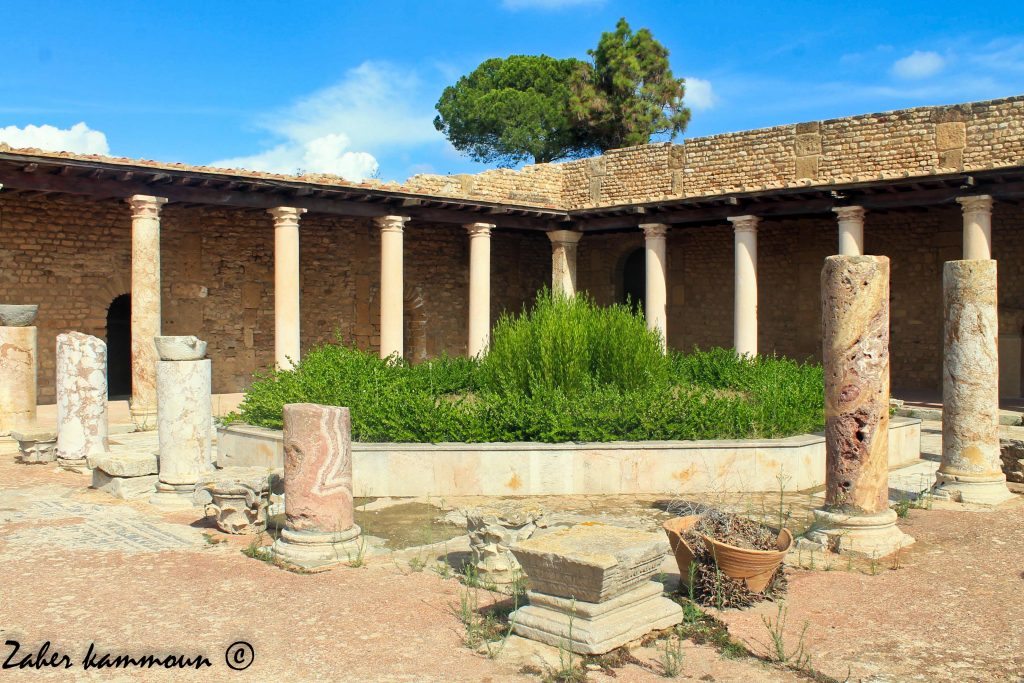 Les villas romaines de Carthage