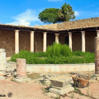 La villa de la volière de Carthage