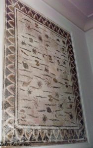 Musée Sfax متحف صفاقس