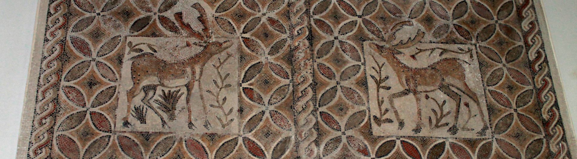 Les mosaïques du musée archéologique de Sfax