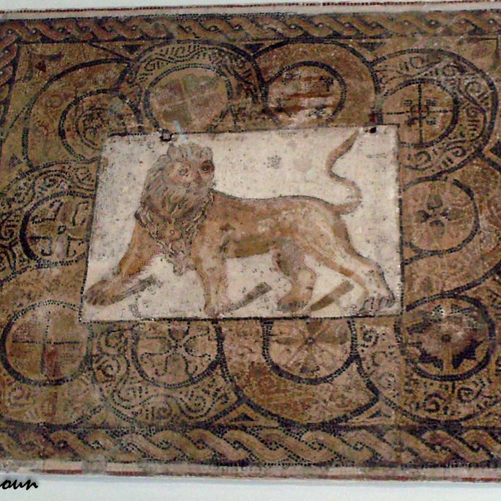 Les mosaïques du site archéologique de Thyna (Sfax)