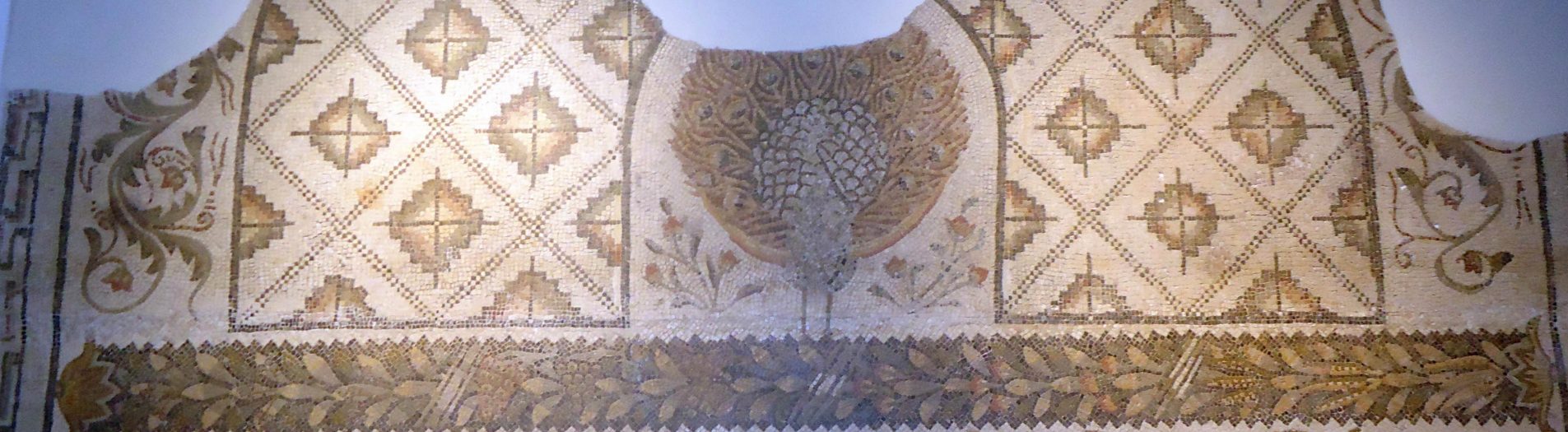 La mosaïque du paon et des chevaux de Carthage