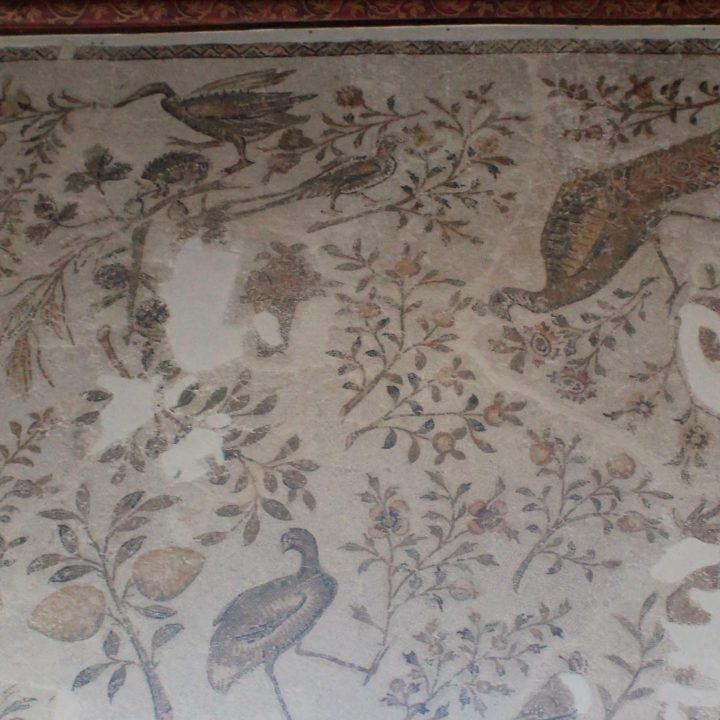 La mosaïque à décor de jonchée de Carthage