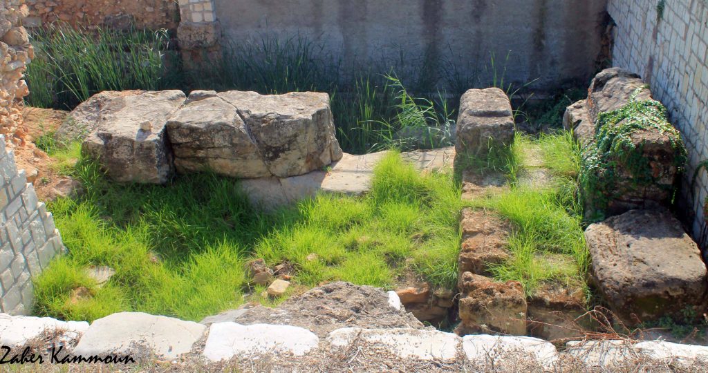 Muraille punique Carthage السور البوني قرطاج