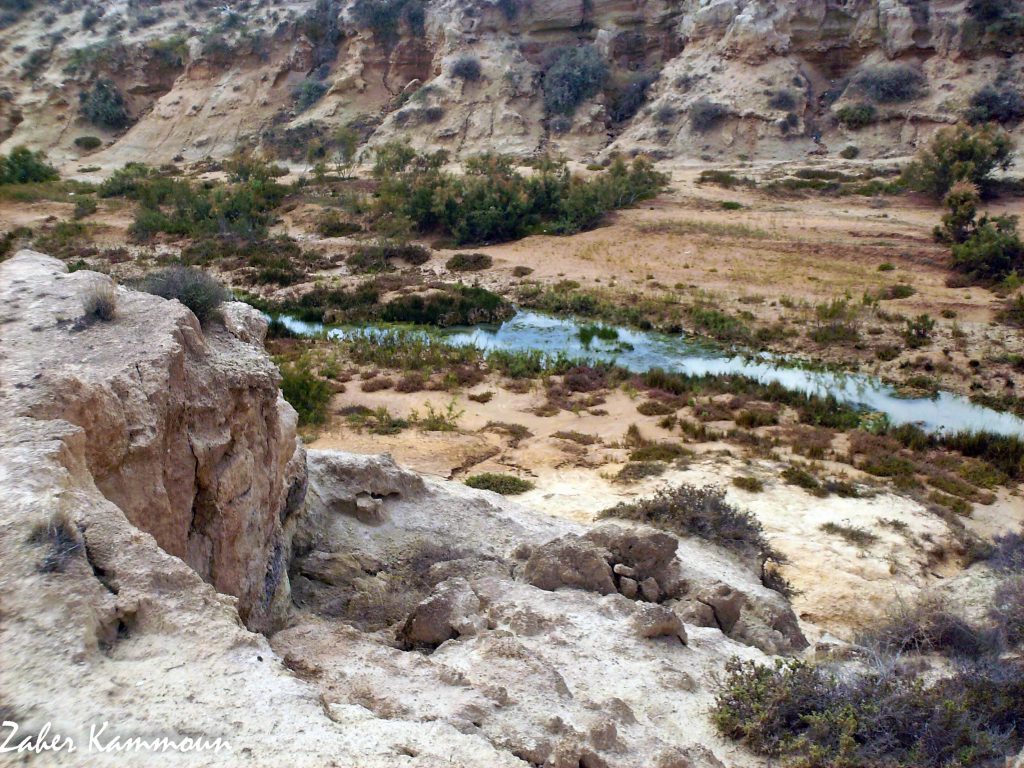 Oued Akarit واد العكاريت