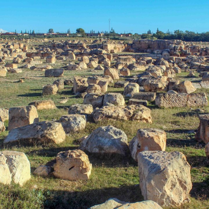Le site archéologique de Thélepte