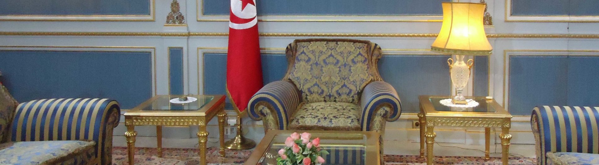 Le palais présidentiel de la Tunisie القصر الرئاسي بتونس