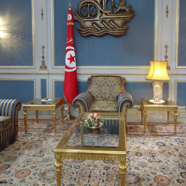 Le palais présidentiel de la Tunisie القصر الرئاسي بتونس