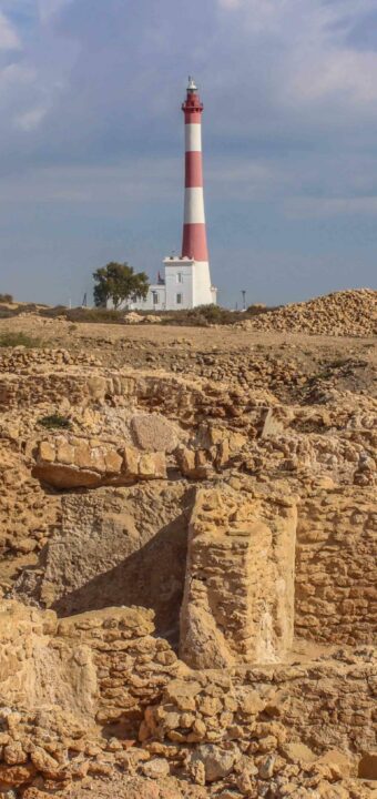 Le site archéologique de Thyna الموقع الاثري بطينة
