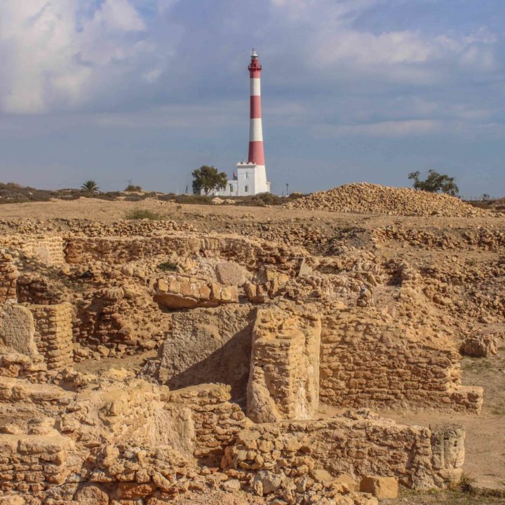 Le site archéologique de Thyna الموقع الاثري بطينة