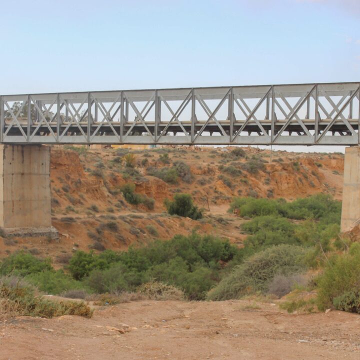 Oued Akarit